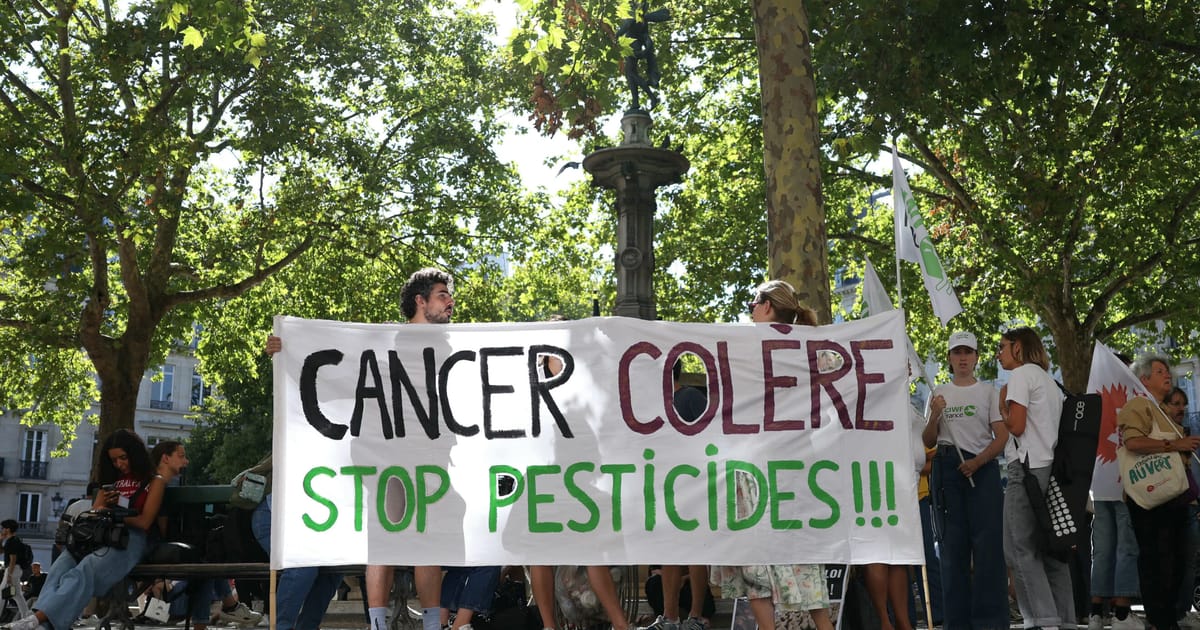 Les meilleurs blocs de la Cour de la France reviennent des insecticides controversés