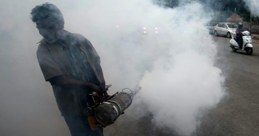 Nil occidental, Chikungunya, dengue: décomposer les maladies d'origine des moustiques de l'été