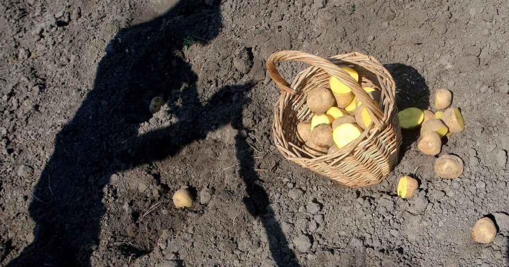 Oubliez la caricature de l'UE des fermes géantes de l'Ukraine