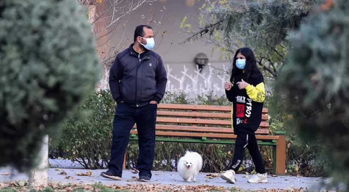 Des députés iraniens veulent bannir les animaux domestiques pour protéger le mode de vie islamique