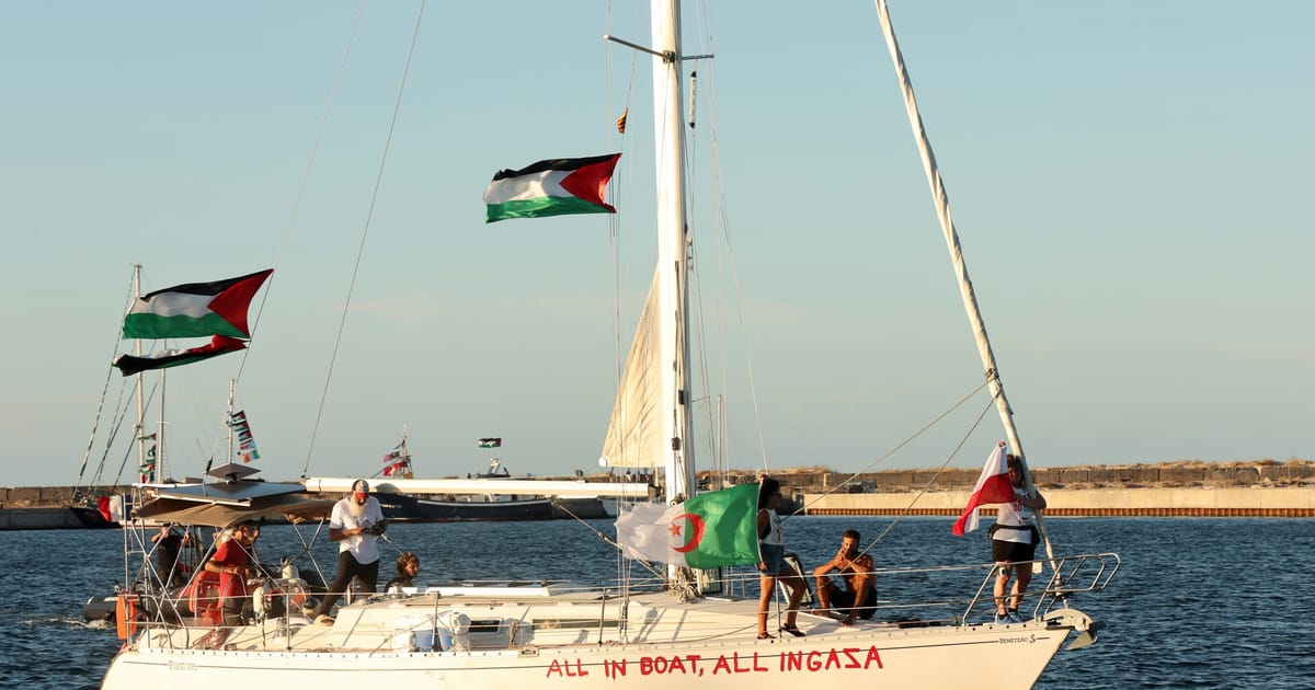 Gaza Aid de Greta Thunberg Flotilla Swarmed par des drones israéliens, dit l'équipage