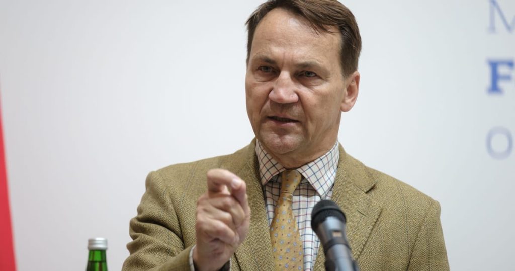 Pologne en Russie: «Vous avez été averti« alors ne «pleurnichez» pas si vos jets sont abattus dans l'espace aérien de l'OTAN