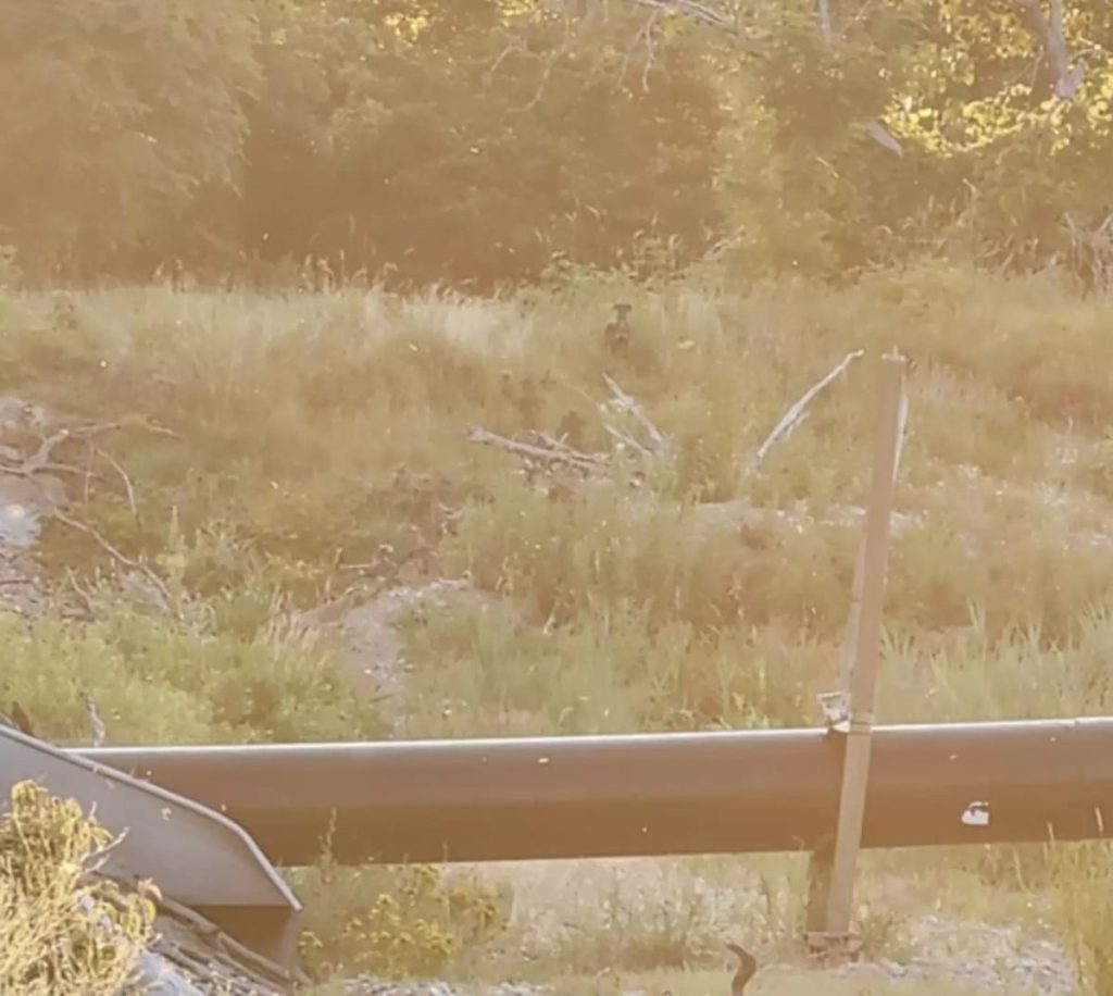 Un point minuscule au loin