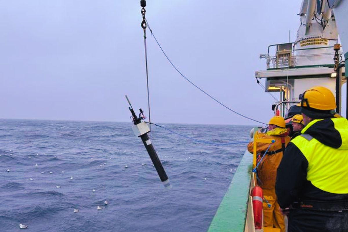 Un robot découvre sous l’océan une masse équivalente à 250 millions d’éléphants