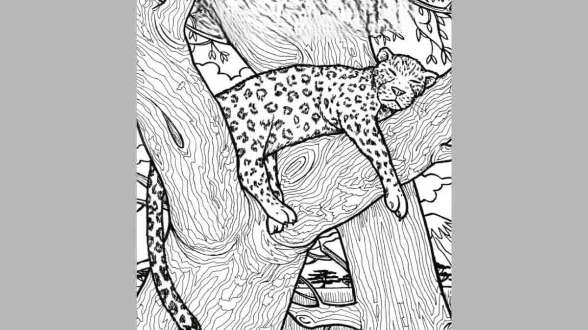 illusion d’optique