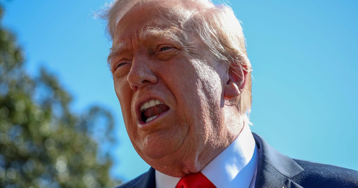 7 Politiques Les conservateurs de Grande-Bretagne ont découvert Donald Trump