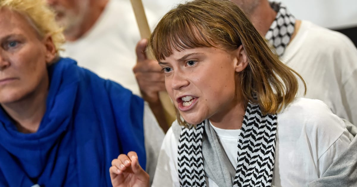 Greta Thunberg accuse les troupes israéliennes de maltraiter sa captivité