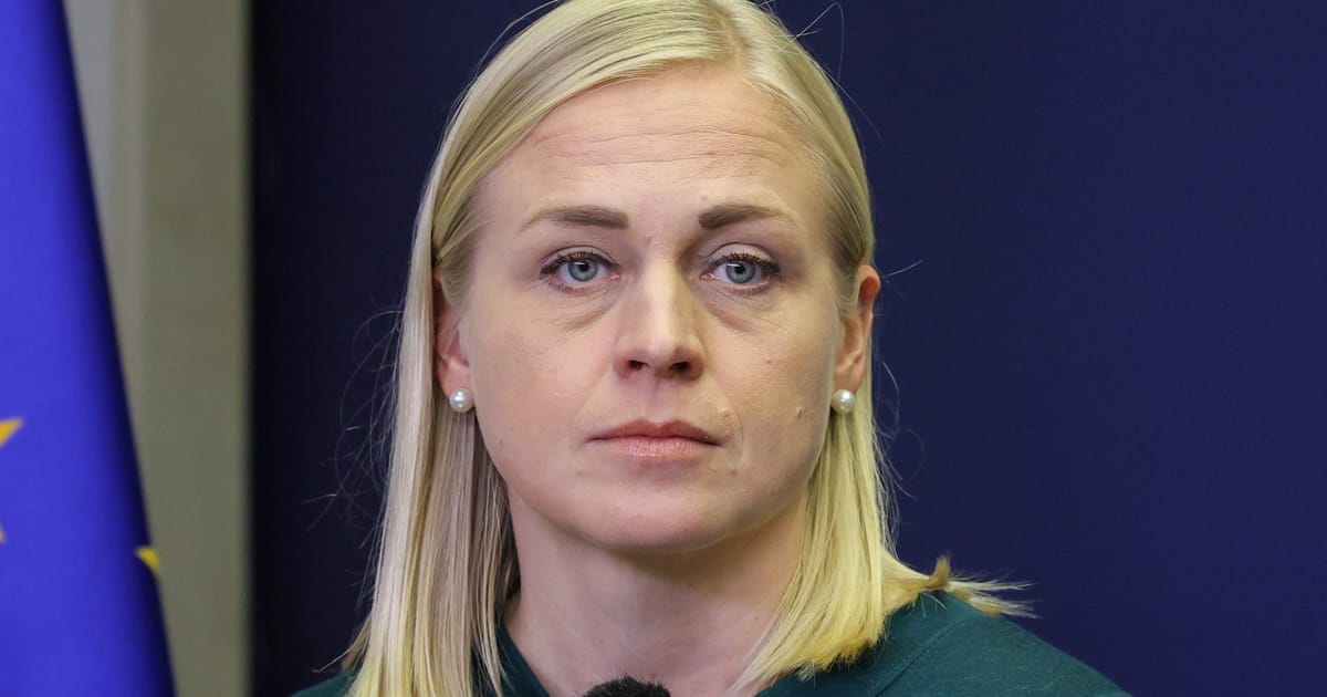 La Géorgie inflige une amende au ministre finlandais des Affaires étrangères pour avoir « bloqué la route » lors d'une manifestation