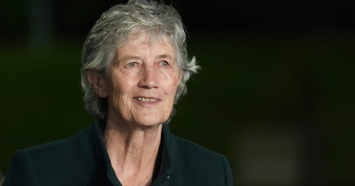 Les critiques socialistes de l'OTAN et de l'UE en passe de remporter la présidence irlandaise