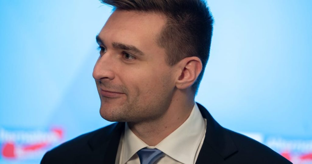 Conseiller de Trump auprès de l'AfD d'extrême droite allemande : "Nous sommes dans le même bateau"