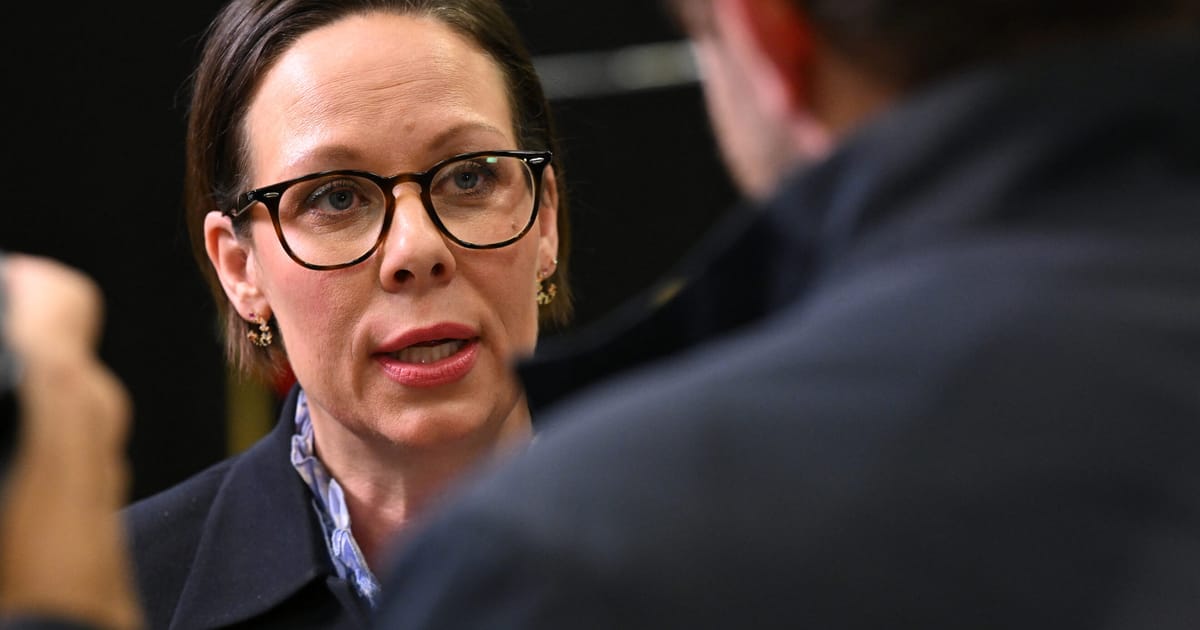 Les pays nordiques qui paient le plus pour l'Ukraine ne sont « pas durables », selon le ministre suédois des Affaires étrangères