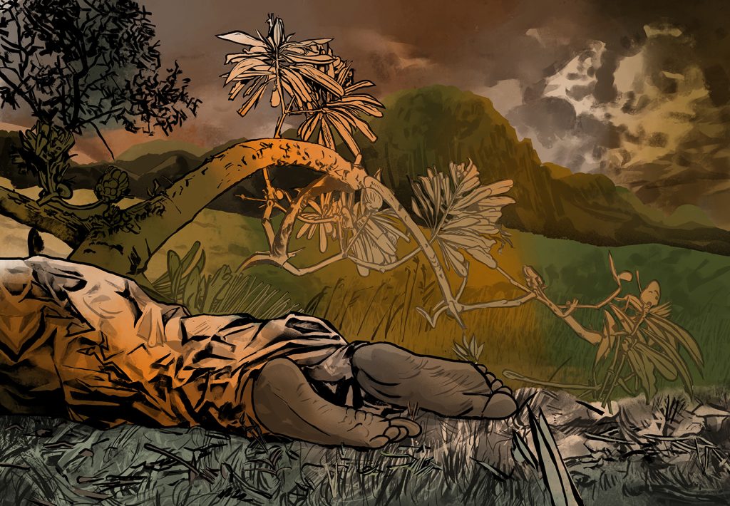 TotalEnergies bet big on African gas. Then the killing started.