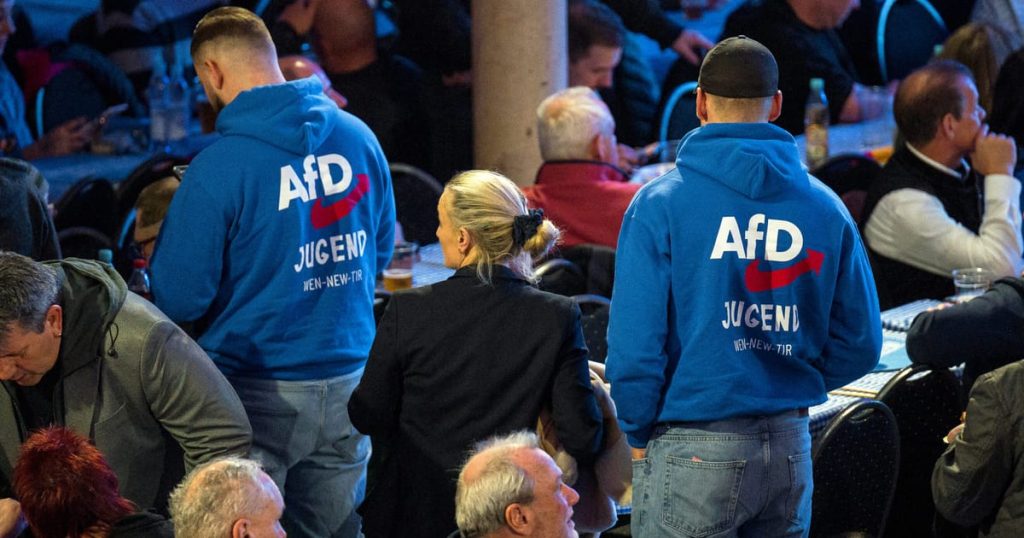 L'AfD d'extrême droite crée une nouvelle aile de jeunesse pour tenter de redorer l'image de l'extrémisme
