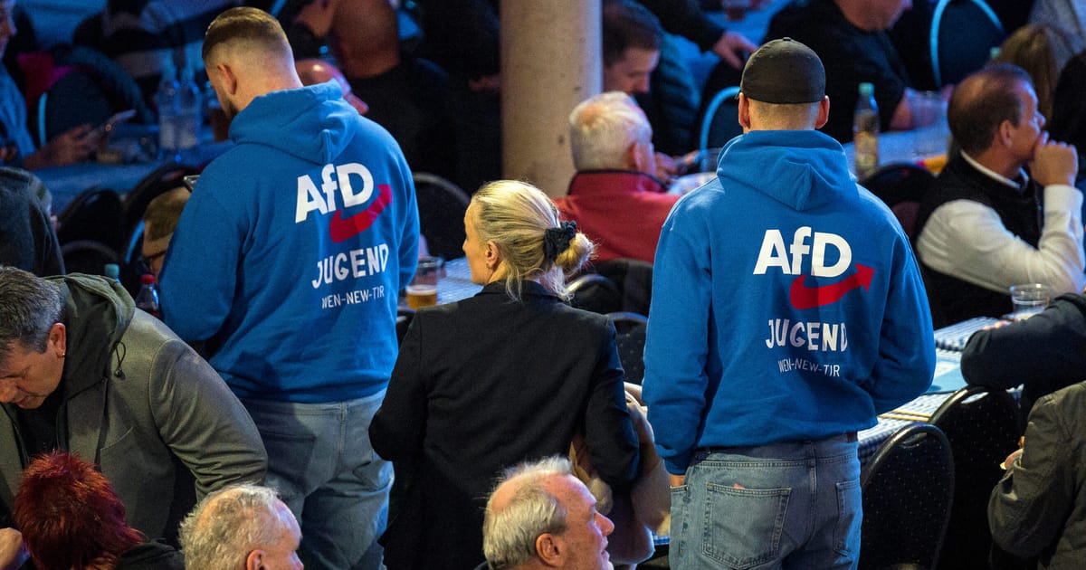 L'AfD d'extrême droite crée une nouvelle aile de jeunesse pour tenter de redorer l'image de l'extrémisme