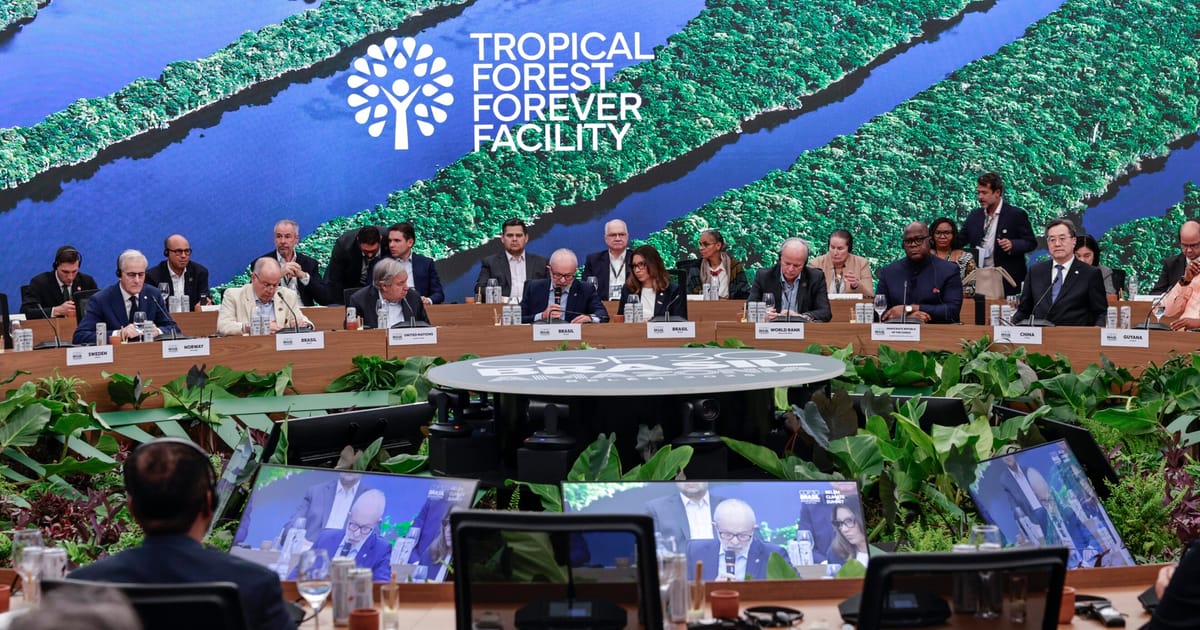 Les diplomates se démènent pour sauver le rôle du Royaume-Uni dans le fonds pour la forêt tropicale de la COP30
