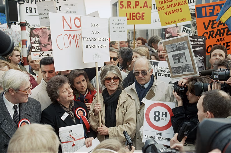 DOSSIER - Brigitte Bardot, au centre, entourée de militants des droits des animaux protestant contre le transport d'animaux vivants à Bruxelles, le 20 février 1995.