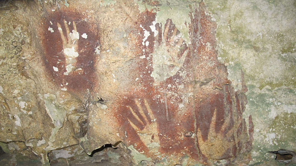 Travail pratique : des peintures rupestres au pochoir découvertes en Indonésie pourraient être l'art rupestre le plus ancien du monde