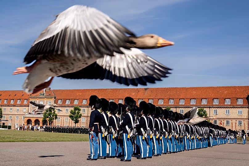 Une oie passe tandis que le roi du Danemark Frederik X présente la montre du roi lors d'un défilé aux Royal Life Guards à la caserne des Life Guards à Copenhague, le 27 juin 2024.