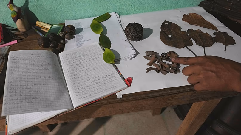 Ramon Pucha montre des graines et des matières végétales qu'il a collectées dans la forêt près de sa ferme familiale à Alto Ila, dans la région amazonienne de l'Équateur, le 3 février 2026.