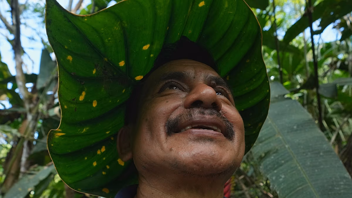« Personne ne nous encourage » : le combat solitaire d'une famille pour sauver les plantes menacées d'Amazonie