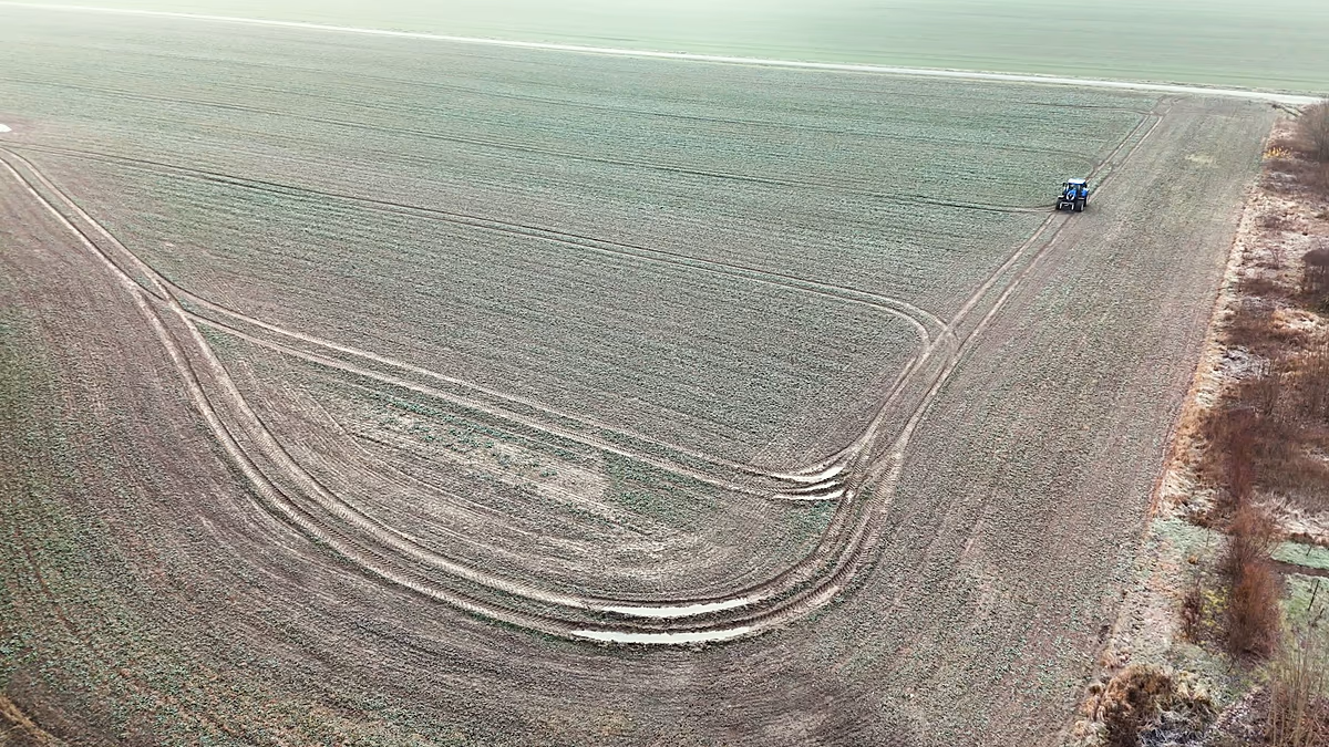Voir à travers les nuages : comment l'imagerie radar aide les agriculteurs polonais