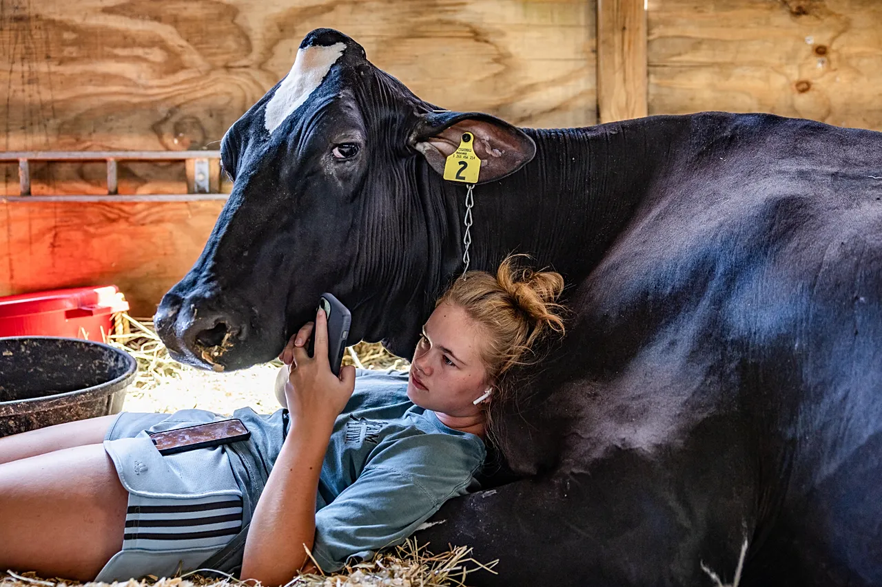 Portrait de Charlotte et Dolly, représentant une jeune femme et sa vache, se reposant ensemble dans une grange pour se rafraîchir pendant la chaleur estivale à West Virgin