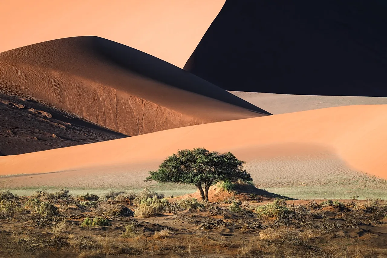 Formes et motifs du désert : une étude de la composition géométrique et des couleurs riches et chaudes des dunes de Sossusvlei en Namibie.