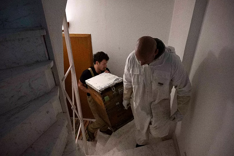 Grigoris Melas, au premier plan, et Konstantinos Pantoudis portent une ruche lors d'un transfert nocturne vers le toit d'un immeuble, dans la banlieue de Vyronas à Athènes, en Grèce.