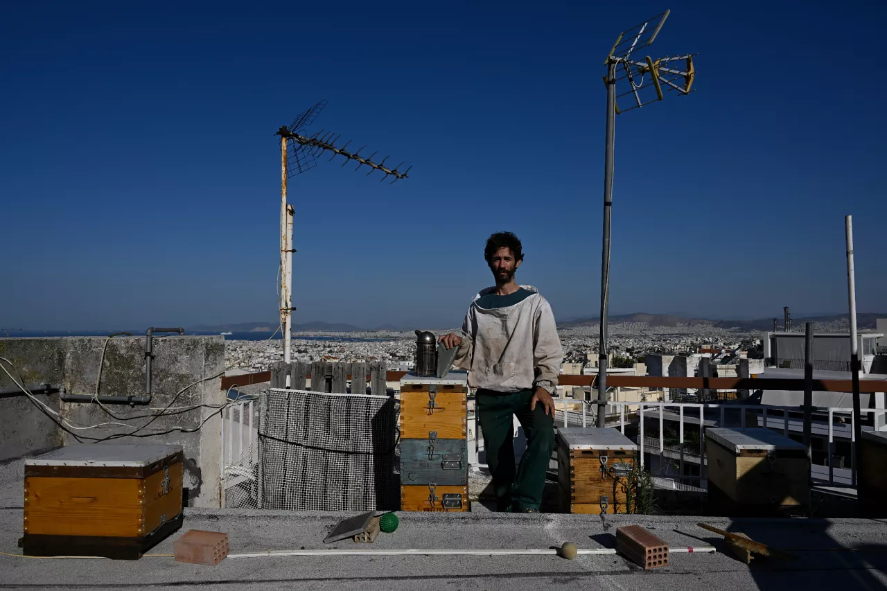 Nikos Chadjilias pose parmi son rucher urbain sur le toit d'un immeuble de la banlieue d'Ilioupoli à Athènes, en Grèce.