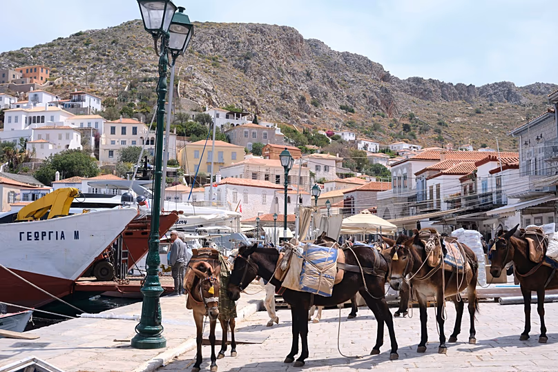 Tous les véhicules à roues sont interdits à Hydra, c'est pourquoi les ânes ou les mules sont utilisés à la place pour transporter des marchandises lourdes.