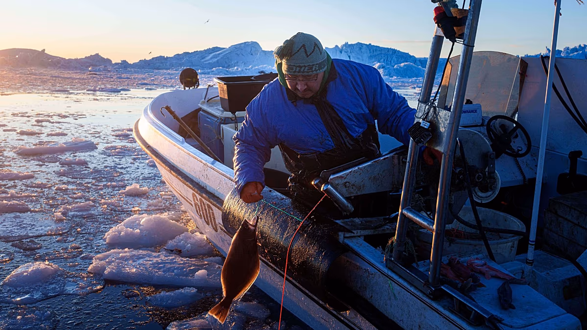 « Il fait trop chaud » : les pêcheurs traditionnels du Groenland poussés à adopter des pratiques polluantes à mesure que la glace fond