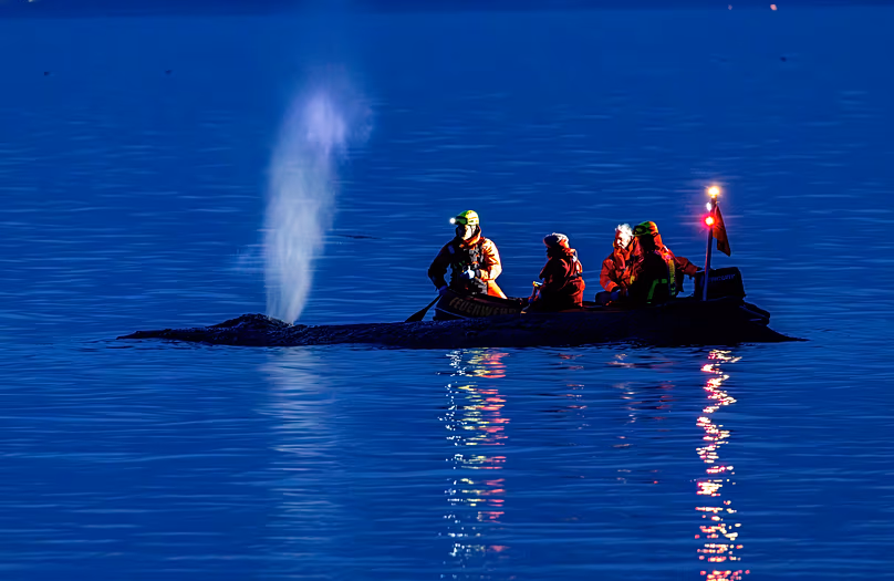 Des secouristes tentent de ramener en eau profonde une baleine échouée sur la côte de la mer Baltique, près de Timmendorfer Strand, en Allemagne, le lundi 23 mars 2026.