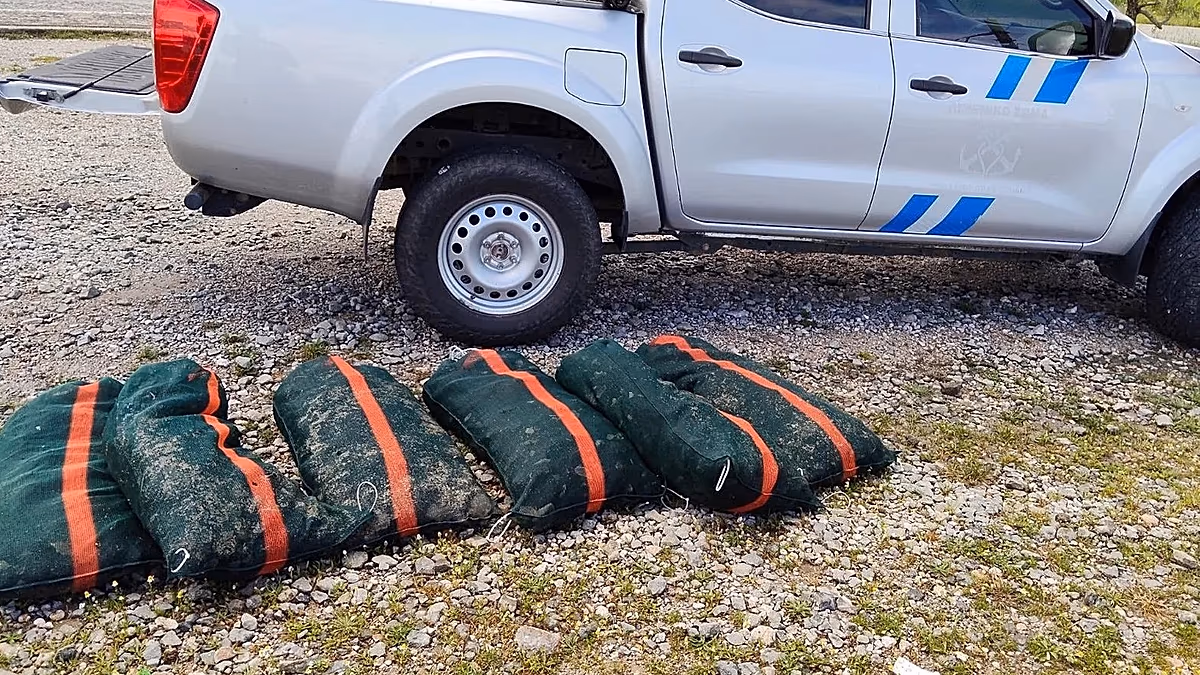 La Grèce réprime la pêche au marché noir alors que les oursins, une espèce en voie de disparition, sont menacés d'extinction