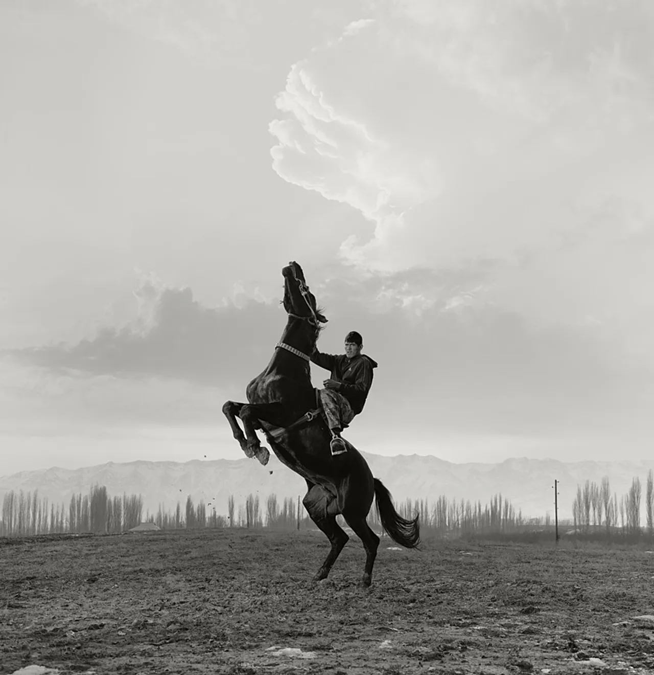 'Buzkashi' de Todd Antony (vainqueur sportif)