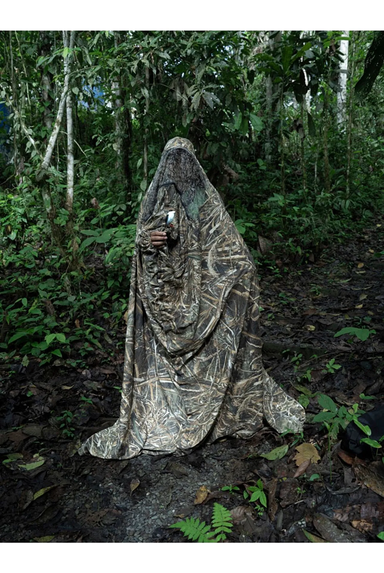 « Notes sur la façon de construire une forêt » par Isadora Romero (Environnement)