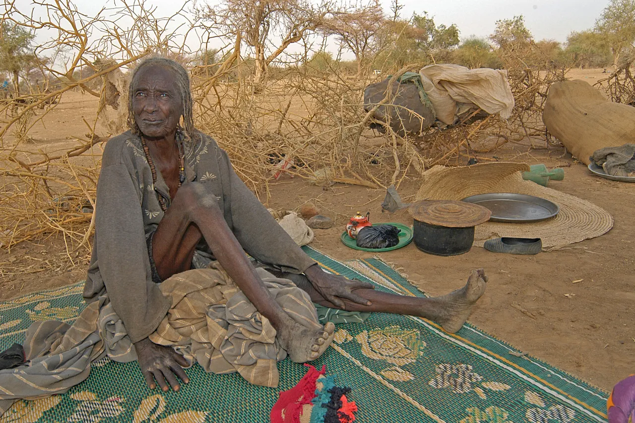 Une femme âgée fuyant les combats au Darfour dans un abri fait de buissons épineux. Frontière Tchad/Soudan, 2004.