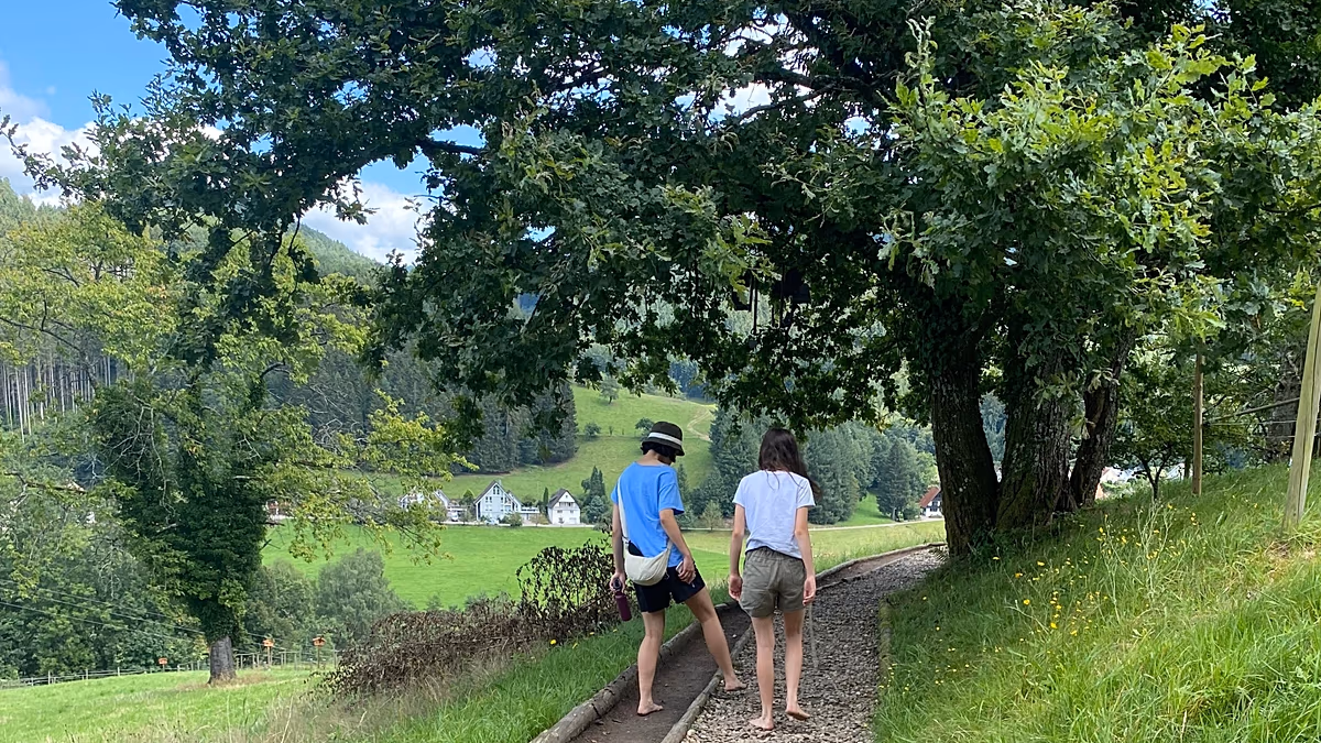« J'ai tout aimé » : renouez avec la nature sur les sentiers de randonnée pieds nus d'Allemagne