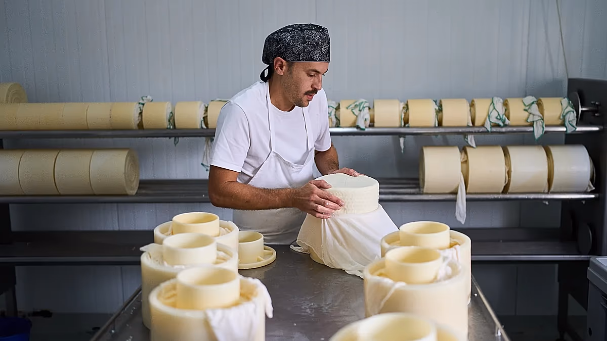 Fermez vos frontières, détruisez votre économie : l’Espagne a fait le calcul pour lutter contre l’immigration