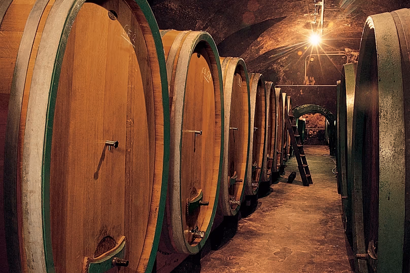 Le chai à barriques de la cave Feiler-Artinger dans le Burgenland