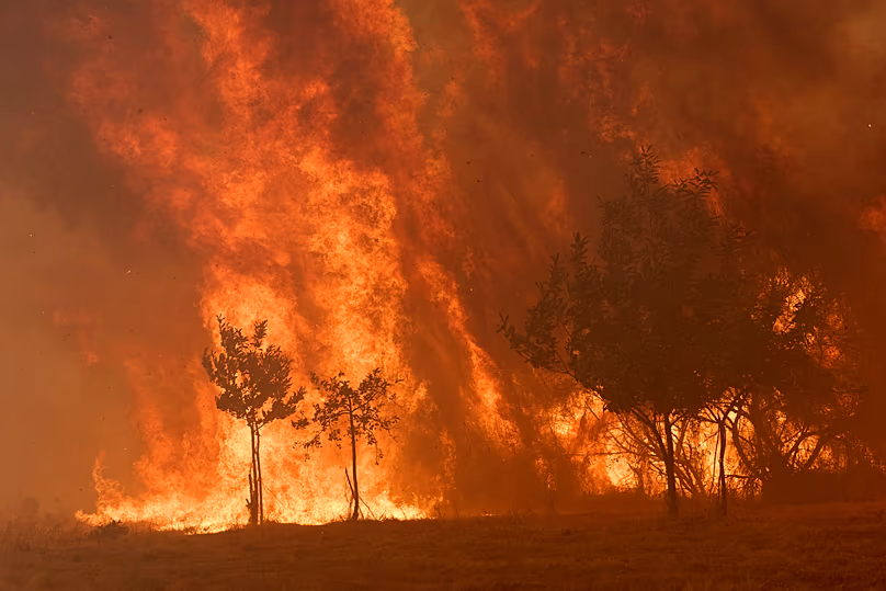 L'un des incendies de forêt qui ont dévasté Rebordondo, près d'Orense (Galice), l'été dernier.