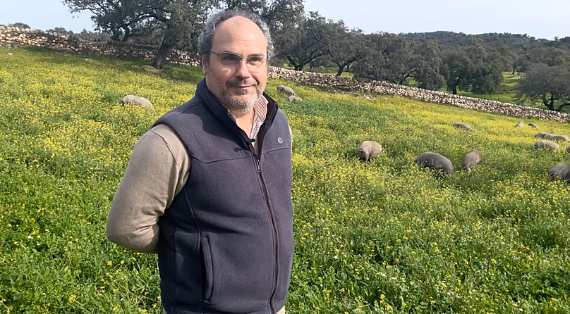 Jesús García Sánchez élève des porcs 100% ibériques nourris aux glands