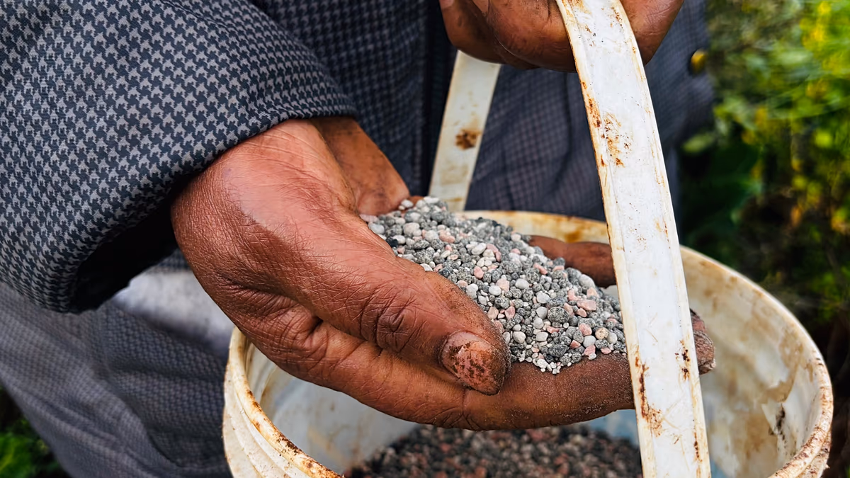Les tensions au Moyen-Orient font grimper les prix alimentaires mondiaux pour le deuxième mois