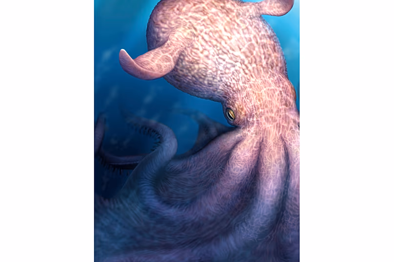Cette illustration fournie par des chercheurs en avril 2026 représente une pieuvre géante qui aurait pu être l'un des principaux prédateurs marins il y a des millions d'années.