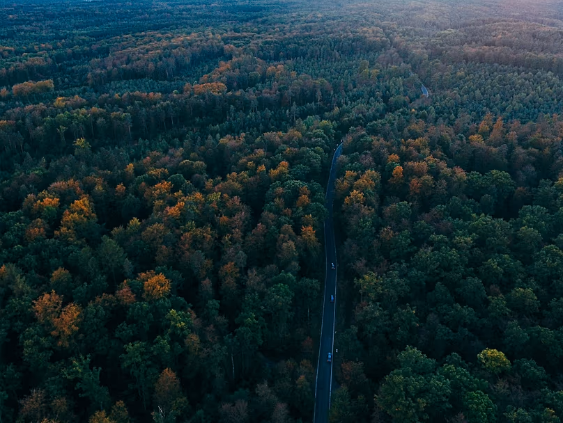 Forêt Noire, Allemagne