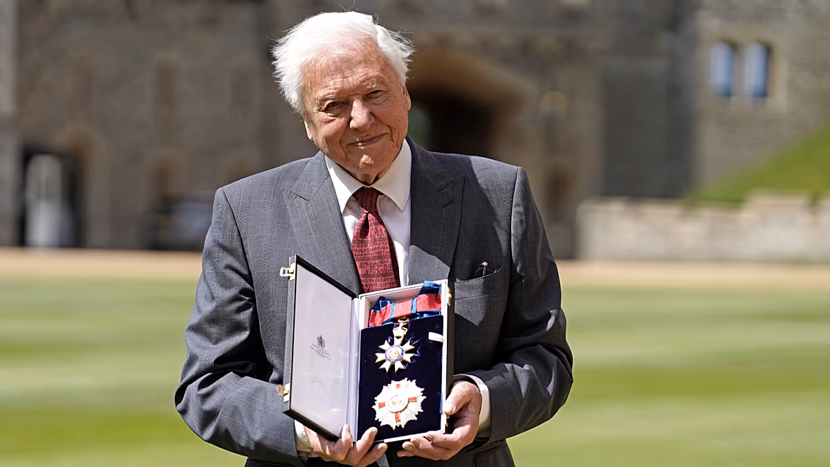 Qui jouera à la fête du 100e anniversaire de Sir David Attenborough ?