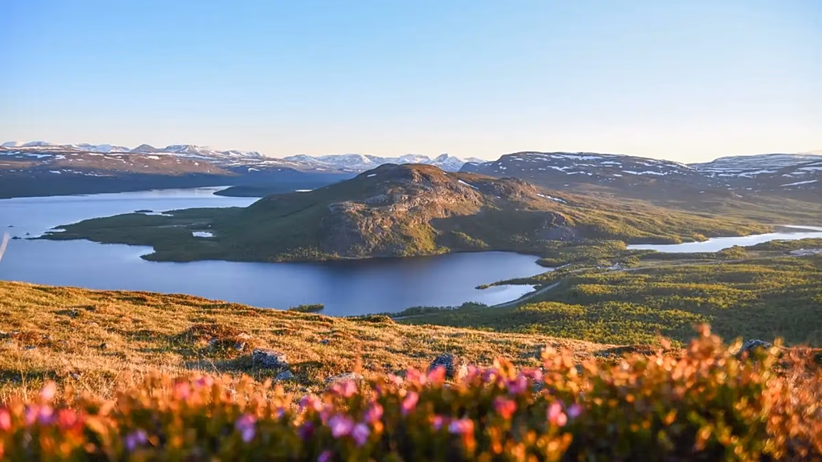 Du royaume blanc au pays vert du soleil de minuit : la Finlande, première destination estivale d'Europe