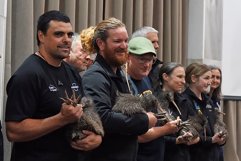 Des membres du personnel d'organisations de conservation détiennent des kiwis lors d'un événement au Parlement à Wellington, en Nouvelle-Zélande, le mardi 28 avril 2026.
