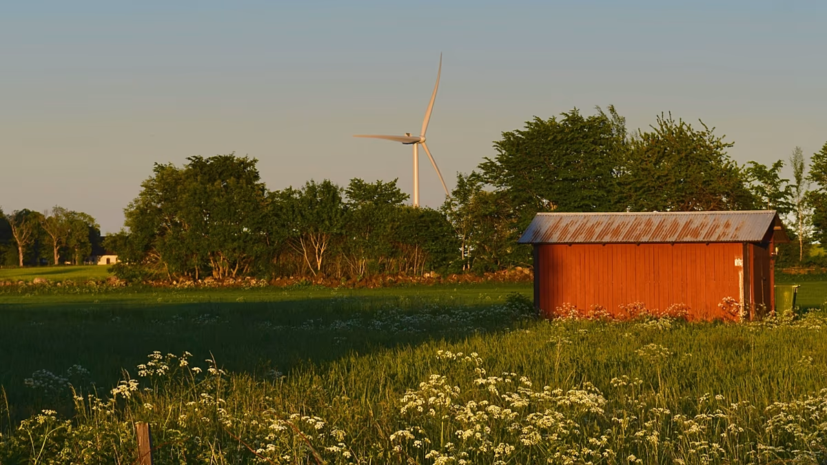 La Suède produit 99 % de son électricité à partir de sources propres. Alors pourquoi l’énergie éolienne est-elle attaquée ?