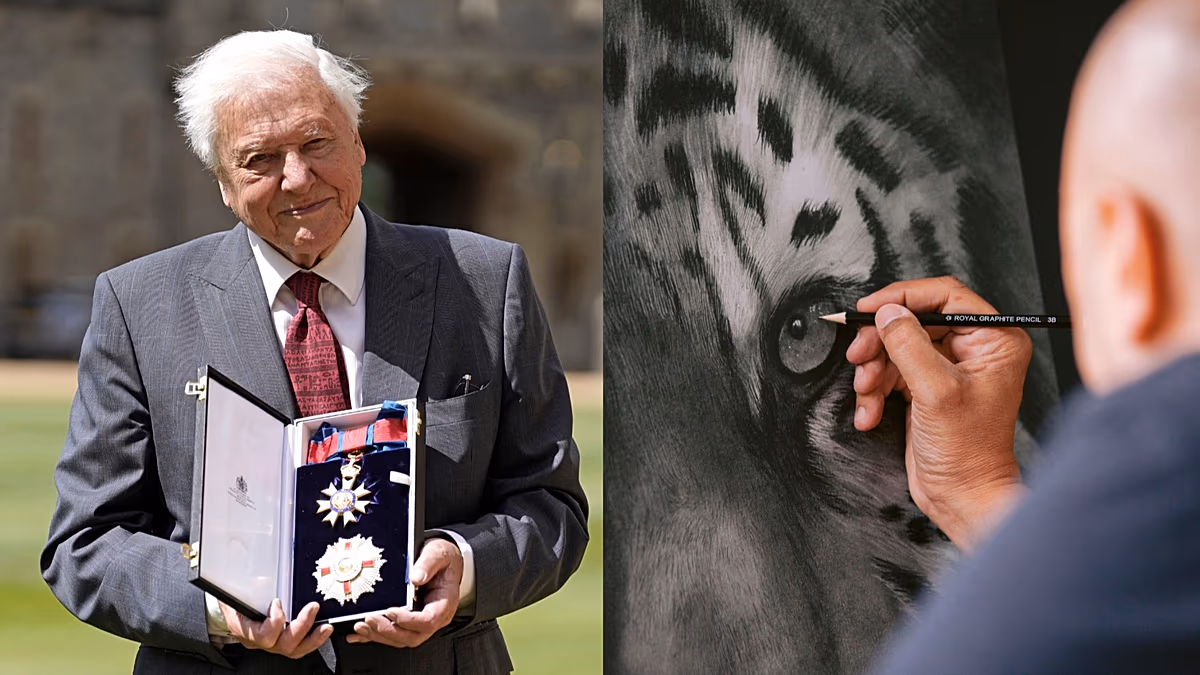 « Effet David Attenborough » : rencontrez les artistes animaliers inspirés par le légendaire diffuseur