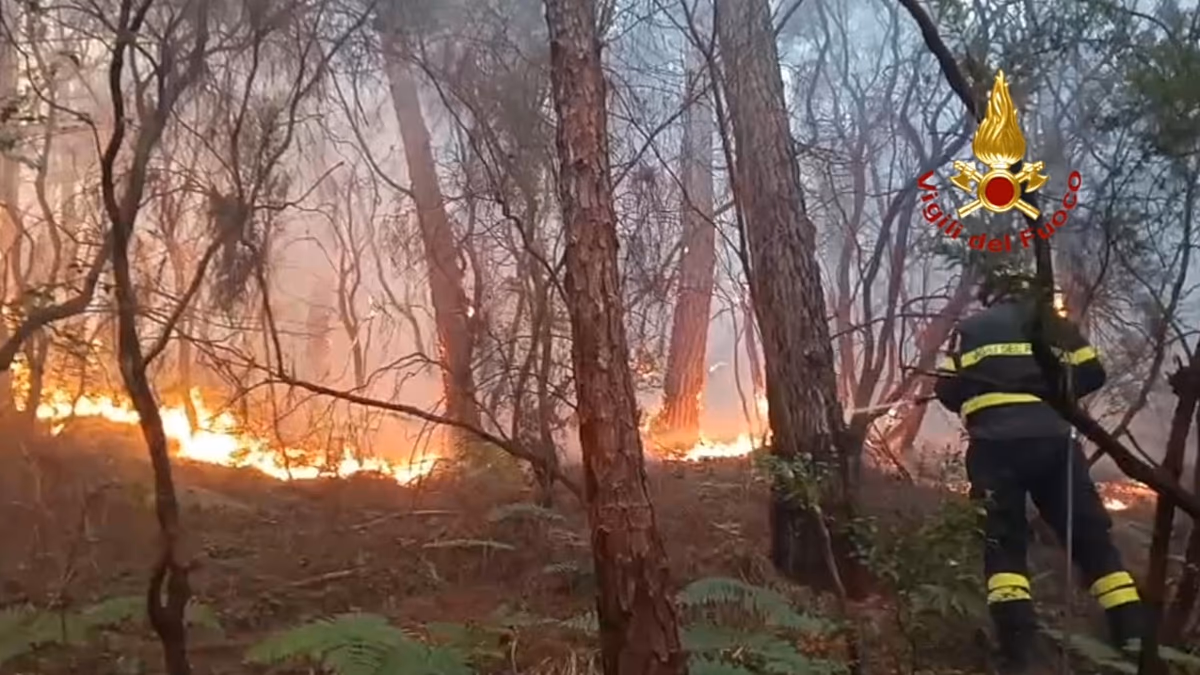 Toscane, incendies hors de contrôle sur le Monte Faeta : 800 hectares brûlés, 3 000 évacués